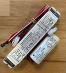 Liteplan DNA/1-K DALI LED Emergency Inverter and Battery Kit 6-55V - LED Spares