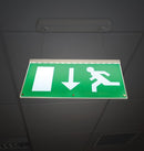 HX/LED/M3/WH/PLE HANG-EX Suspended Blade Exit Sign - Arrow Down - LED Spares