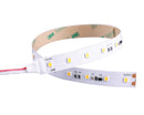 15M IP20 Ultralong LED Strip 3000K 24V 6W/M 12mm Width Single End Feed - LED Spares