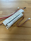 ELP LDM200D-K DALI Inverter 60-200V 2.0W c/w Battery