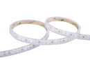 15M IP65 Ultralong LED Strip 4000K 24V 6W/M 14mm Width Single End Feed