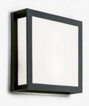 Outdoor Wall Light - Orion AL 11-1195 Henry - Anthracite 2 X 15W Max