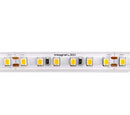 20M IP67 Ultralong LED Strip 3000K 24V 11W/M 14.5mm Width 845lm/M - LED Spares