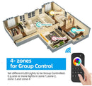 GIDEALED RT10 2.4G Wireless 4 Zone RF Remote Control, Operates with WT5 Controller - LED Spares