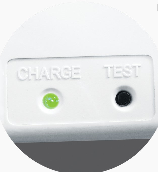 HX/LED/M3/WH/PLE HANG-EX Suspended Blade Exit Sign - Arrow Down - LED Spares