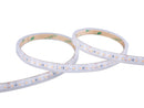 20M IP65 Ultralong LED Strip 3000K 24V 11W/M 12mm Width Single End Feed - LED Spares