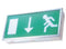 Emergency LED exit sign luminaire LEDSWEXLED/230-110-A 230V Mains - 110V Central Battery - LED Spares